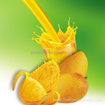 Automatic Bottled orange mango juice Filling Machine